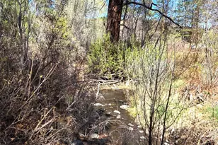 16 County Rd N4035, Greer, AZ 85927 - Photo 36