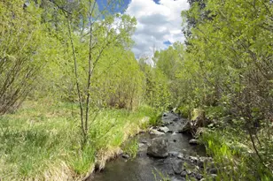 16 County Road N4035, Greer, AZ 85927 - Photo 4