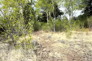 16 County Road N4035, Greer, AZ 85927 - Photo 36