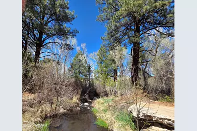 16 County Road N4035, Greer, AZ 85927 - Photo 44