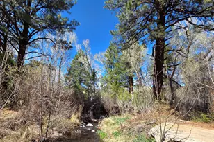 16 County Road N4035, Greer, AZ 85927 - Photo 44