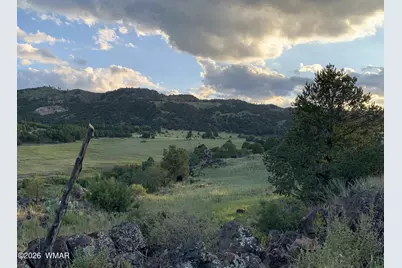 16 County Road N4035, Greer, AZ 85927 - Photo 48