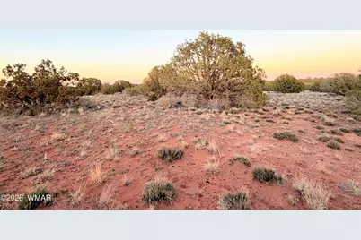 4427 Clydesdale Road, Snowflake, AZ 85937 - Photo 6