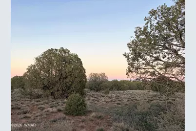 4427 Clydesdale Road, Snowflake, AZ 85937 - Photo 16