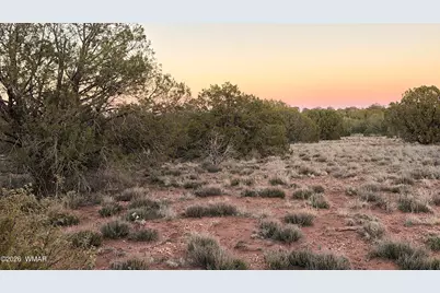 4427 Clydesdale Road, Snowflake, AZ 85937 - Photo 14