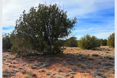 4039 Indian Bend Road, Snowflake, AZ 85937 - Photo 14
