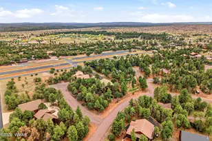 2287 Richenbacher Cir, Overgaard, AZ 85933 - Photo 42