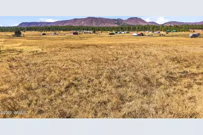 34 County Road 2100, Alpine, AZ 85920 - Photo 4