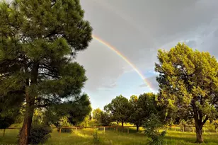 1015 Meadow, Show Low, AZ 85901 - Photo 30