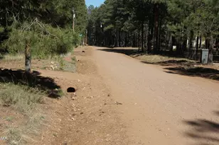 1667 Little Pine Trail, Forest Lakes, AZ 85931 - Photo 42