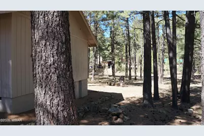 1667 Little Pine Trail, Forest Lakes, AZ 85931 - Photo 40