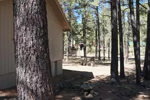 1667 Little Pine Trail, Forest Lakes, AZ 85931 - Photo 40