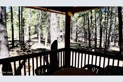 1667 Little Pine Trail, Forest Lakes, AZ 85931 - Photo 8