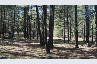 1667 Little Pine Trail, Forest Lakes, AZ 85931 - Photo 32