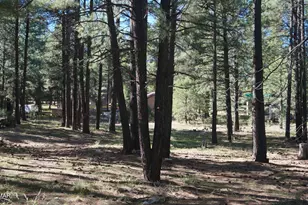 1667 Little Pine Trail, Forest Lakes, AZ 85931 - Photo 32