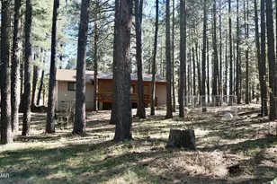 1667 Little Pine Trail, Forest Lakes, AZ 85931 - Photo 38