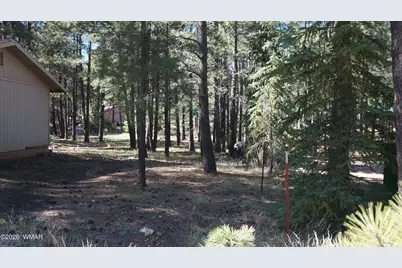 1667 Little Pine Trail, Forest Lakes, AZ 85931 - Photo 30