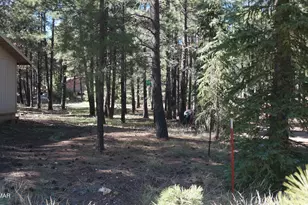 1667 Little Pine Trail, Forest Lakes, AZ 85931 - Photo 30