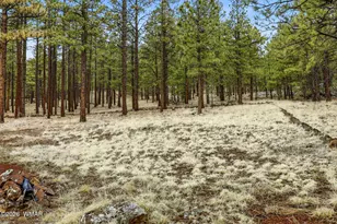 19 N1044, Eagar, AZ 85925 - Photo 22