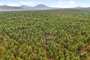 19 N1044, Eagar, AZ 85925 - Photo 30