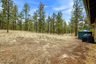 19 N1044, Eagar, AZ 85925 - Photo 24