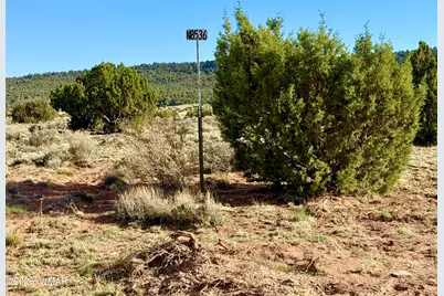 85 Co Road 8500 40 Acres, Concho, AZ 85924 - Photo 14