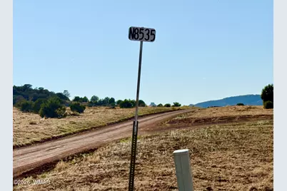 85 Co Road 8500 40 Acres, Concho, AZ 85924 - Photo 12