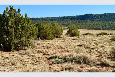 85 Co Road 8500 40 Acres, Concho, AZ 85924 - Photo 8