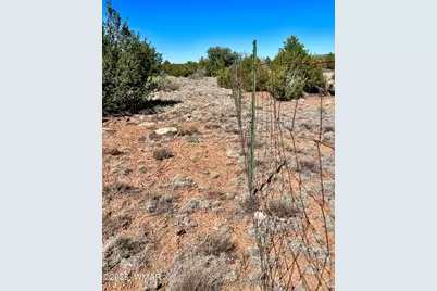 Tbd Co Rd 8307 Lot 100, Concho, AZ 85924 - Photo 4