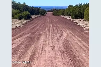 Tbd Co Rd 8307 Lot 100, Concho, AZ 85924 - Photo 1