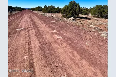 Tbd Co Rd 8307 Lot 100, Concho, AZ 85924 - Photo 6