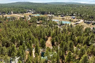 1181 S Cherokee Dr, Show Low, AZ 85901 - Photo 44