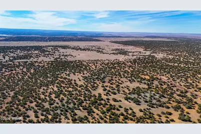 9023 Appaloosa Trail Lot E 10 Acres, Show Low, AZ 85901 - Photo 14
