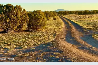9023 Appaloosa Trail Lot E 10 Acres, Show Low, AZ 85901 - Photo 6