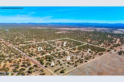 9023 Appaloosa Trail Lot E 10 Acres, Show Low, AZ 85901 - Photo 2