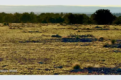 9023 Appaloosa Trail Lot E 10 Acres, Show Low, AZ 85901 - Photo 22