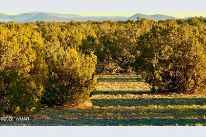 9023 Appaloosa Trail Lot E 10 Acres, Show Low, AZ 85901 - Photo 10