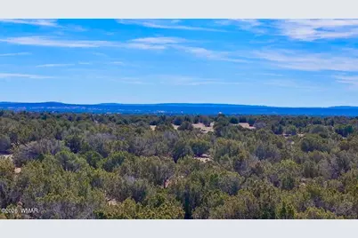 9023 Appaloosa Trail Lot E 10 Acres, Show Low, AZ 85901 - Photo 8