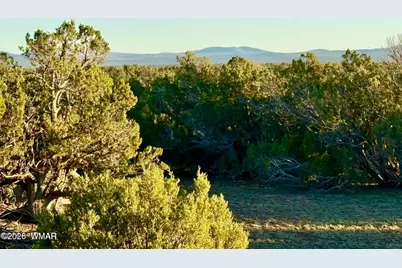 9023 Appaloosa Trail Lot E 10 Acres, Show Low, AZ 85901 - Photo 14