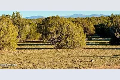 9023 Appaloosa Trail Lot E 10 Acres, Show Low, AZ 85901 - Photo 24