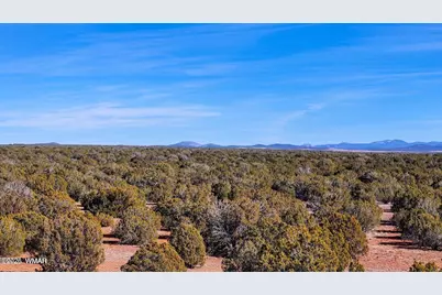 9023 Appaloosa Trail Lot E 10 Acres, Show Low, AZ 85901 - Photo 10