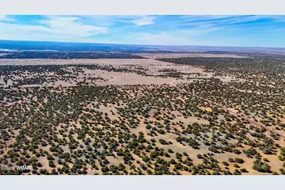 9023 Appaloosa Trail Lot E 10 Acres, Show Low, AZ 85901 - Photo 18