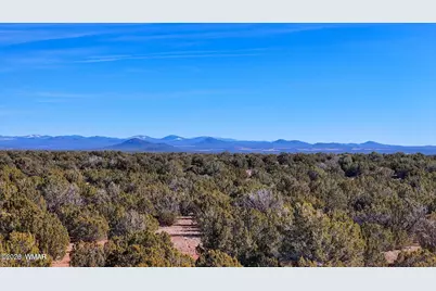 9023 Appaloosa Trail Lot E 10 Acres, Show Low, AZ 85901 - Photo 2