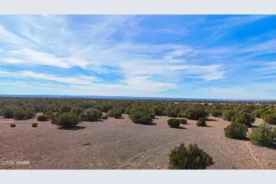 9023 Appaloosa Trail Lot E 10 Acres, Show Low, AZ 85901 - Photo 6