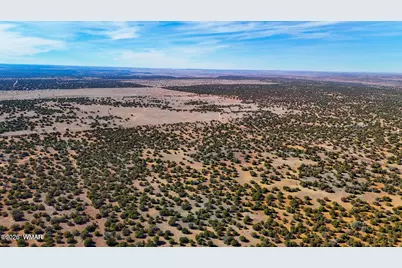 9023 Appaloosa Trail Lot D 10 Acres, Show Low, AZ 85901 - Photo 16