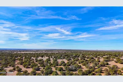 9023 Appaloosa Trail Lot D 10 Acres, Show Low, AZ 85901 - Photo 12
