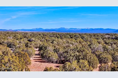 9023 Appaloosa Trail Lot D 10 Acres, Show Low, AZ 85901 - Photo 12