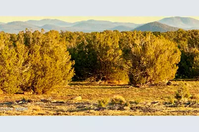 9023 Appaloosa Trail Lot D 10 Acres, Show Low, AZ 85901 - Photo 4