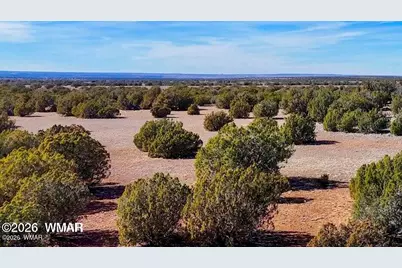 9023 Appaloosa Trail Lot D 10 Acres, Show Low, AZ 85901 - Photo 16