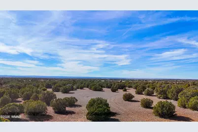 9023 Appaloosa Trail Lot D 10 Acres, Show Low, AZ 85901 - Photo 8